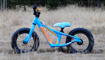 Mini “CG“ the balance bike for kids… but not only!