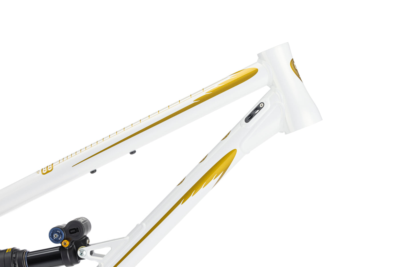 SHAN 5 RIDECASTER LTD EDITION